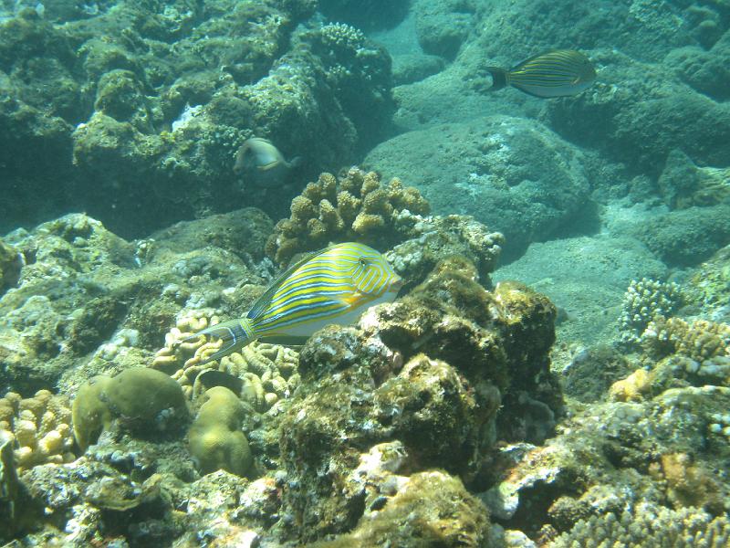 trip_bali 228 